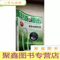正 九成新电波的秘密(奇妙物理世界系列)