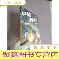 正 九成新口袋神探10:遗忘的暗号
