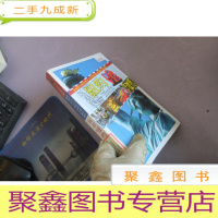 正 九成新玩透纽约(全彩)