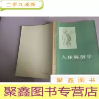 正 九成新人体解剖学
