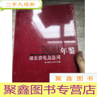 正 九成新湖北省电力公司2011年鉴