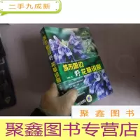 正 九成新城市周边野花草识别