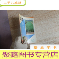 正 九成新韭菜周年生产——农大版蔬菜系列丛书