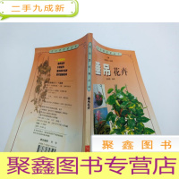 正 九成新垂吊花卉