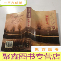 正 九成新混沌晓舞:县长日志