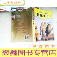 正 九成新骆驼王子