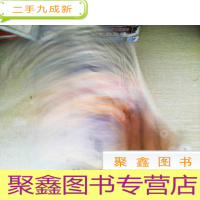 正 九成新西藏玩