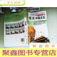 正 九成新(全彩)图说中国文化文学卷