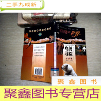 正 九成新鸟兽寻踪:鸟兽篇——不知道的世界