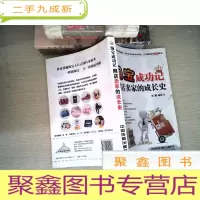 正 九成新淘宝成功记:网店卖家的成长史