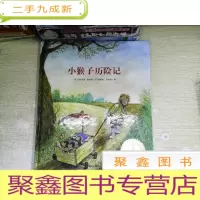 正 九成新来自伦勃朗和梵高故乡的图画书.小猴子历险记