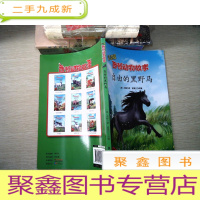 正 九成新西顿动物故事-自由的黑野马