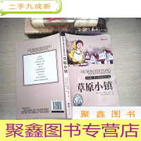 正 九成新草原小镇