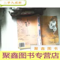 正 九成新大地飞鹰