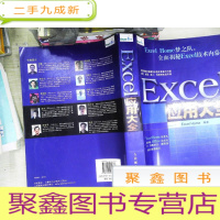 正 九成新Excel应用大全:Excel Home技术专家团队又一力作
