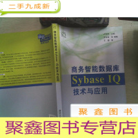 正 九成新商务智能数据库Sybase IQ技术与应用