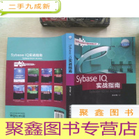 正 九成新SAP企业信息化与实践丛书:Sybase IQ 实战指南