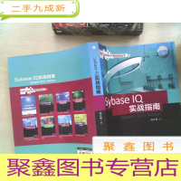 正 九成新SAP企业信息化与实践丛书:Sybase IQ 实战指南
