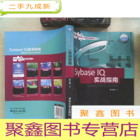 正 九成新SAP企业信息化与实践丛书:Sybase IQ 实战指南