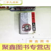 正 九成新中华成语大字典