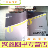 正 九成新六西格玛黄带手册