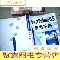 正 九成新PowerBuilder 6.5参考手册