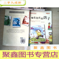 正 九成新啄着阳光的鸽子