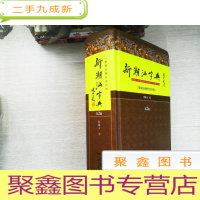 正 九成新新潮汕字典(第二版)