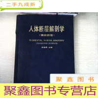 正 九成新人体断层解剖学:横断断层 书脊开裂