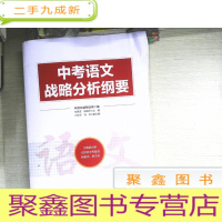 正 九成新中考语文战略分析纲要