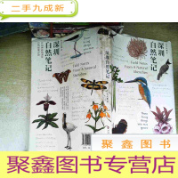 正 九成新深圳自然笔记