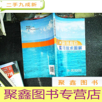 正 九成新江河防汛抢险实用技术图解