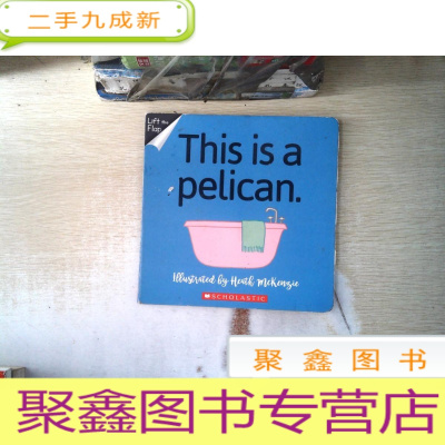 正 九成新This is a pelican