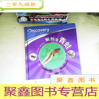 正 九成新探索频道·动物变变变 蝌蚪变青蛙
