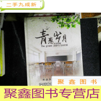 正 九成新青葱岁月