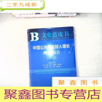 正 九成新中国公共文化投入增长测评报告(2016)