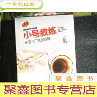 正 九成新小号教练:小号入门基础教程