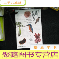 正 九成新深圳自然笔记