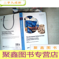 正 九成新THE European Union in Crisis