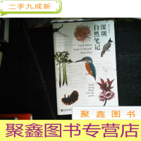 正 九成新深圳自然笔记