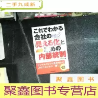 正 九成新日文书 内部统制