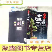 正 九成新中国盆景名作选