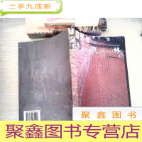 正 九成新德国印象