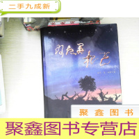 正 九成新阿拉善根艺