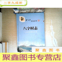 正 九成新八字村志