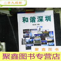 正 九成新和谐深圳