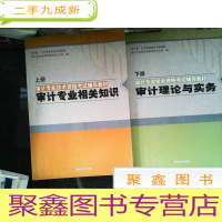 正 九成新审计专业技术资格考试辅导教材(上下)