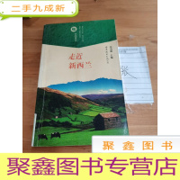 正 九成新走近新西兰