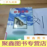 正 九成新模拟导游