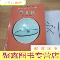 正 九成新羽毛球